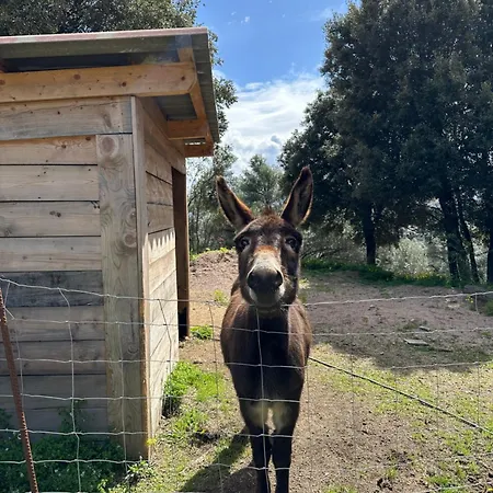 Holiday home N1 Maison T2 Climatise *