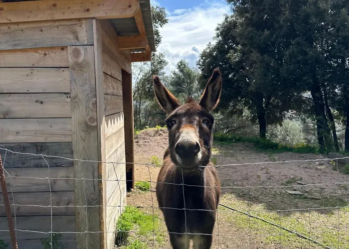 Tatil Evi N1 Maison T2 Climatise *